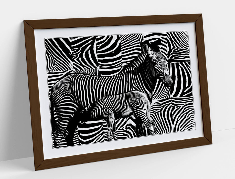 Zebra Stripe Wall Art – Handmade Framed Animal Print With Woodgrain Frame