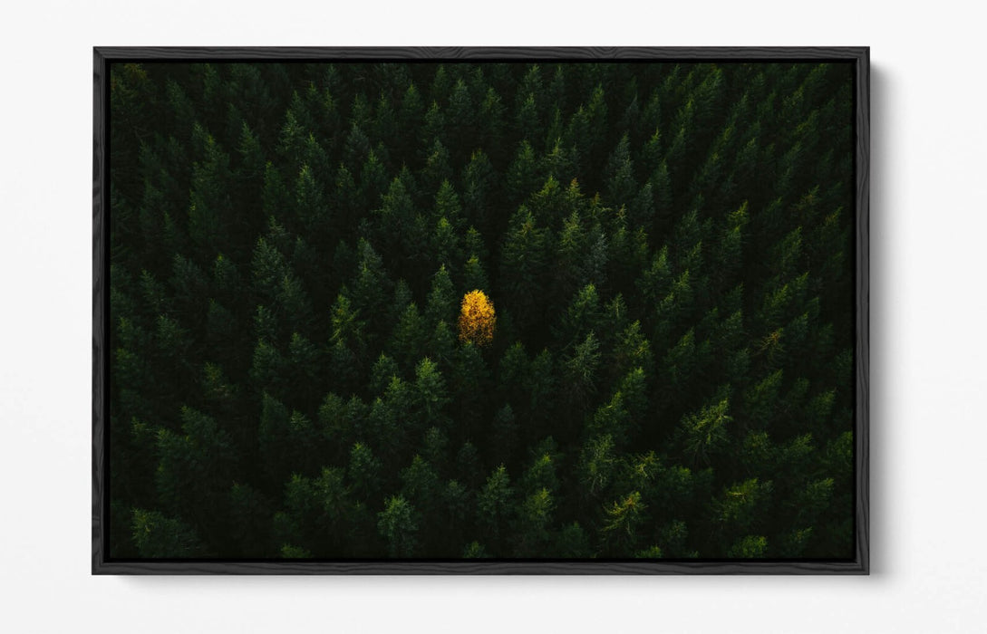 YELLOW TREE IN FOREST HOME BEDROOM DECOR FLOAT EFFECT CANVAS WALL PRINT