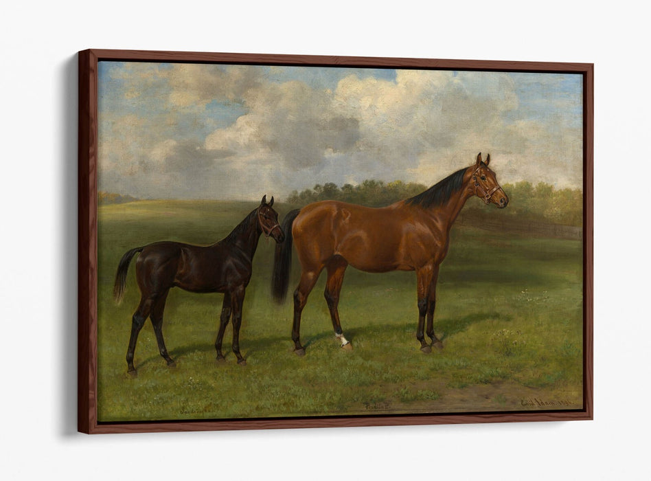 EMIL ADAM, PERDITA II WITH HER FOAL -FLOAT EFFECT CANVAS WALL ART PRINT