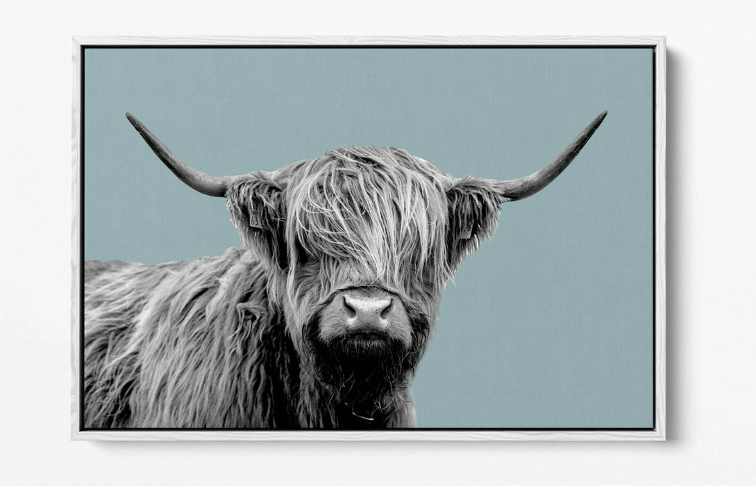 HIGHLAND COW DUCK EGG BLUE -FLOAT EFFECT CANVAS WALL ART PIC PRINT-