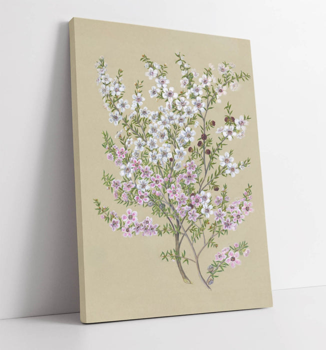 Canvas Wall Art - Sarah Featon Manuka Floral Canvas Print With Premium Varnish Coating