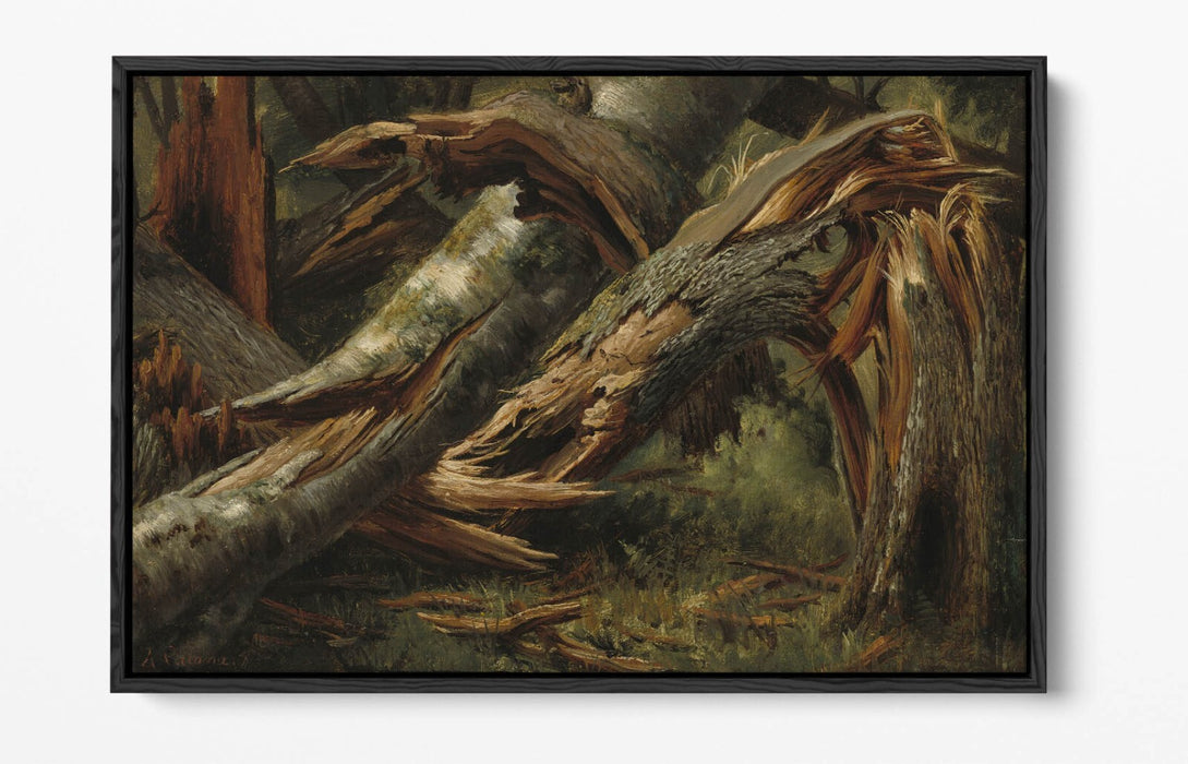 ALEXANDRE CALAME, FALLEN TREE -FLOAT EFFECT CANVAS WALL ART PIC PRINT