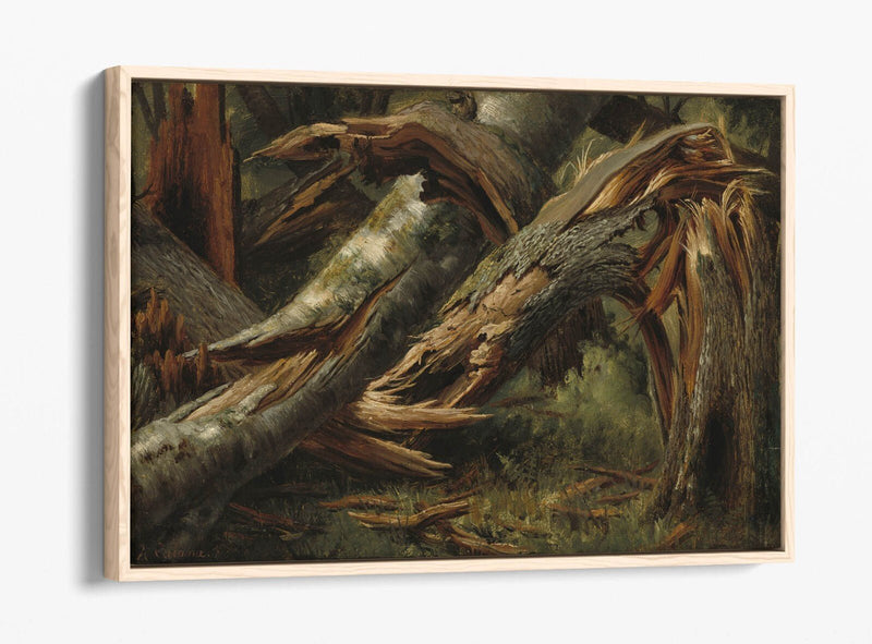 Float Effect Canvas Art | Alexandre Calame Fallen Tree | Ready To Hang Wall Decor