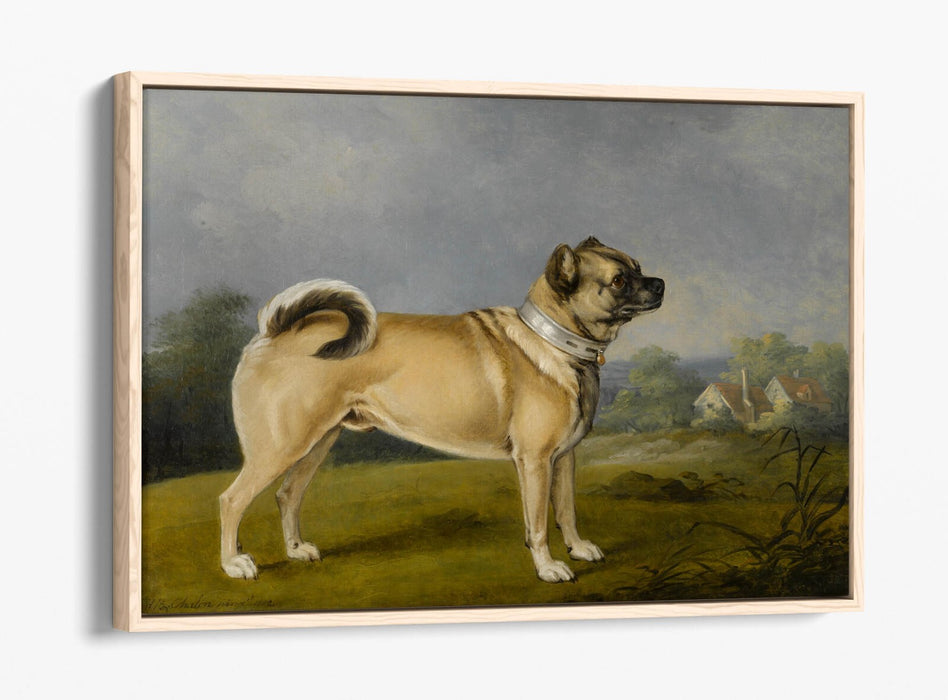 HENRY BERNARD CHALON, A FAVOURITE PUG -FLOAT EFFECT CANVAS WALL ART PRINT