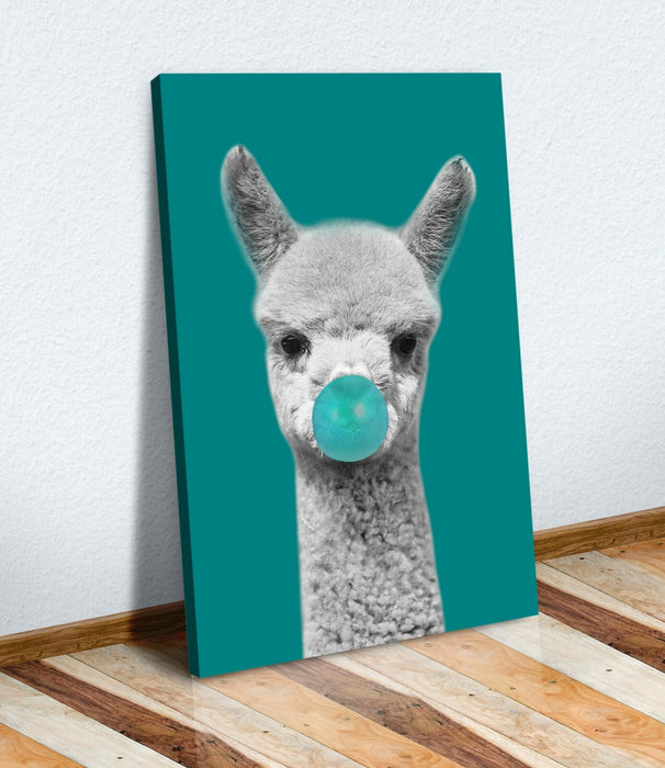 Canvas Wall Art - Baby Alpaca Black White Teal Vibrant Color Print Ready To Hang