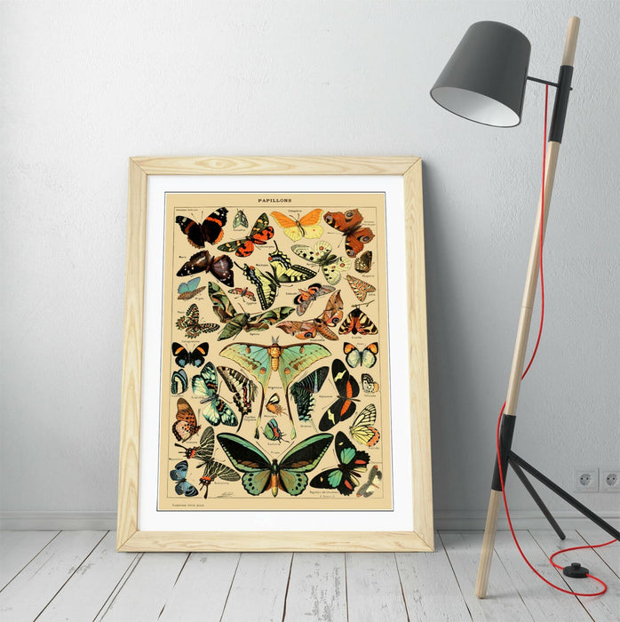 VINTAGE BUTTERFLIES ART POSTER RETRO -FRAMED WALL ART PICTURE PRINT