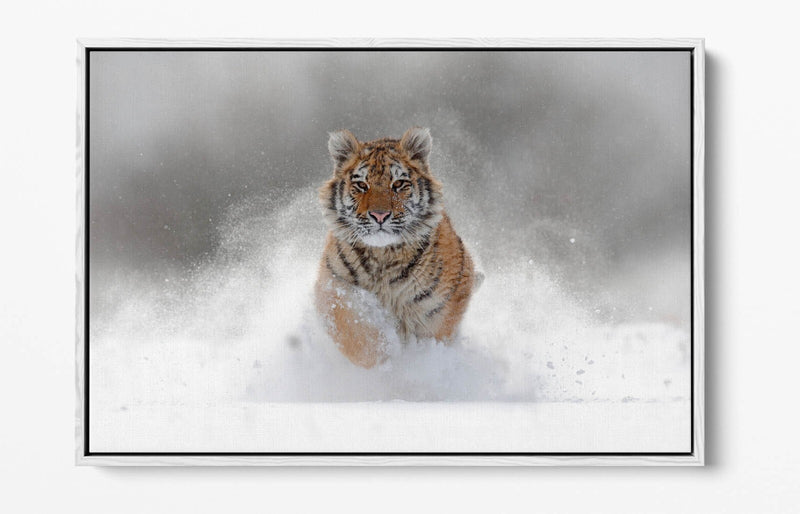 Tiger Canvas Wall Art – Running Tiger Artwork with Premium Float Frame | Handmade UK