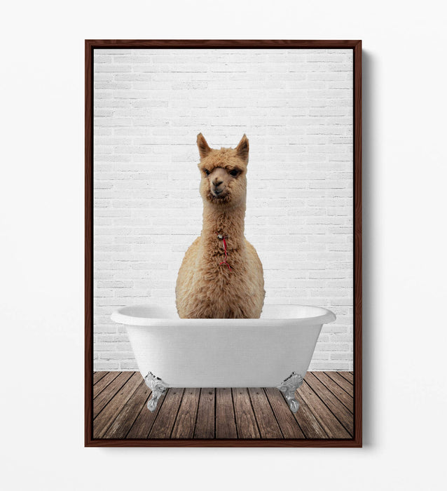 LLAMA IN BATHTUB -QUIRKY BATHROOM FLOAT EFFECT CANVAS WALL ART PIC PRINT