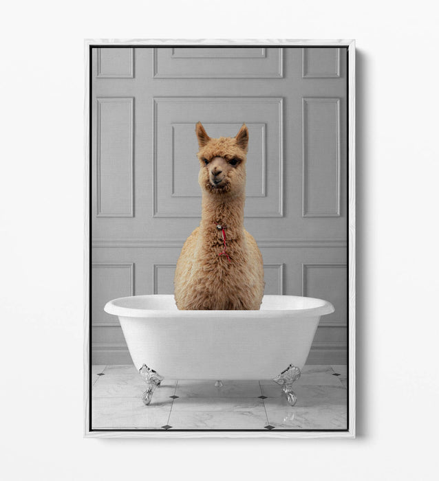 LLAMA IN BATHTUB -QUIRKY BATHROOM FLOAT EFFECT CANVAS WALL ART PIC PRINT