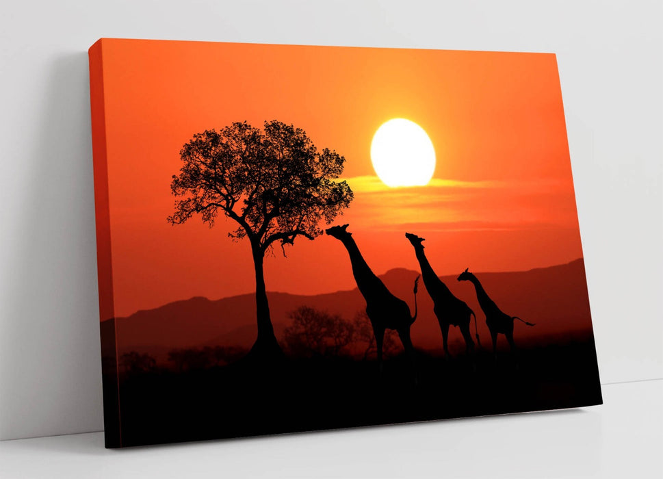 Giraffes Canvas Art - African Wall Decor | Sunset Safari Print On Archival Grade Canvas