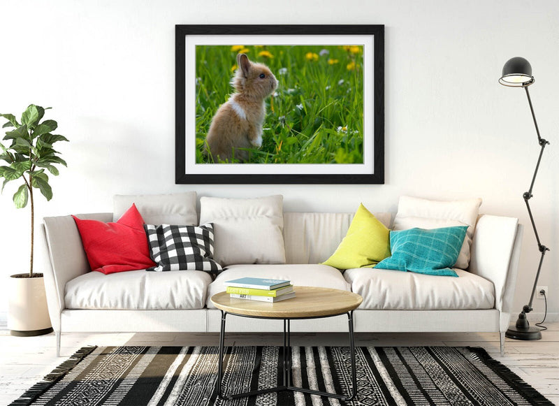 Bunny Rabbit Wall Art – Framed Small Bunny Decor Poster With Woodgrain Frame