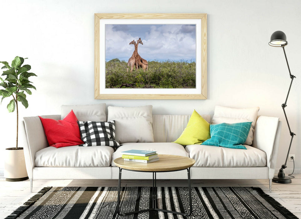 GIRAFFES IN LOVE -ART FRAMED POSTER PICTURE PRINT- WILDLIFE PHOTOGRAPHY