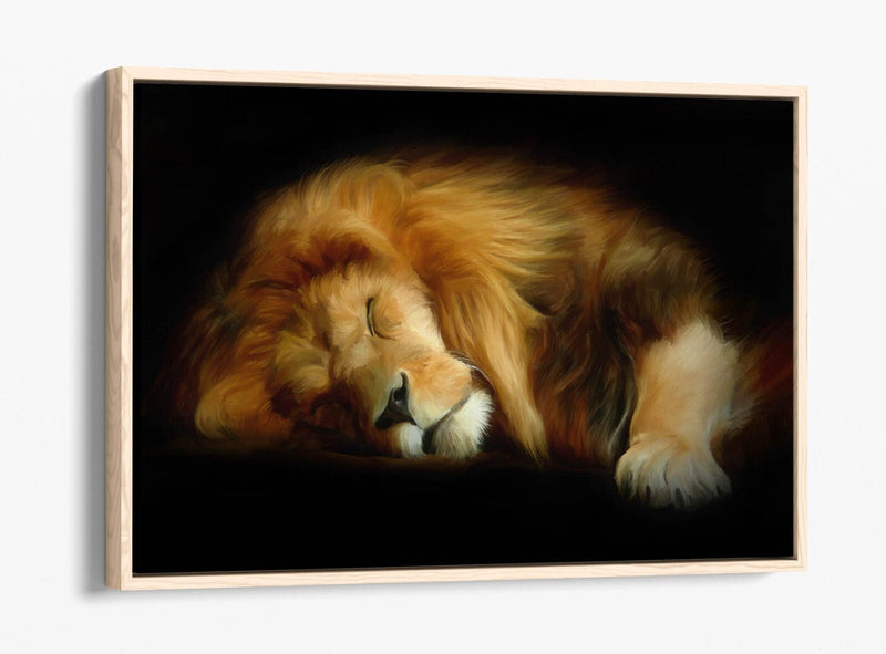 Canvas Wall Art - Sleeping Lion Handmade Float Effect Canvas Print | Premium Frame