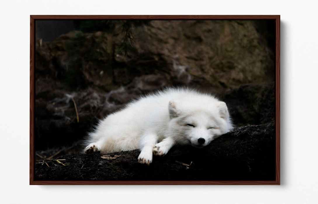 Wolf Canvas Art - Handmade Float Effect Canvas Wall Decor With Premium Frame