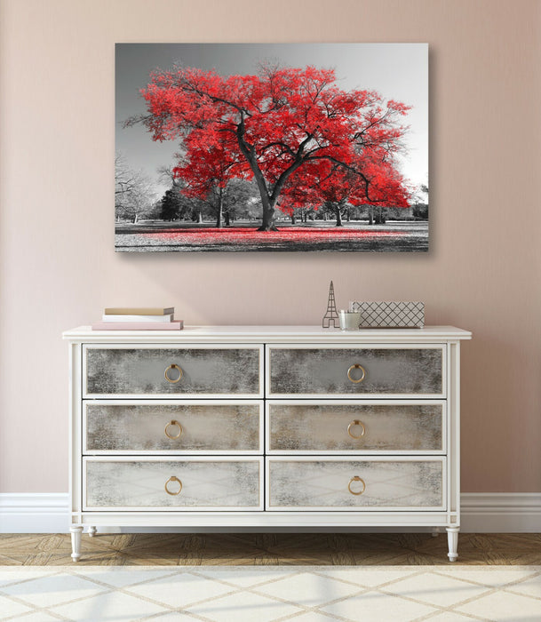 Canvas Wall Art Large Tree Red Leaves Black White 30mm Deep Premium Print