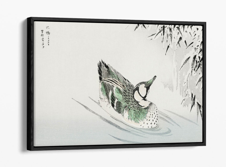Canvas Wall Art - Numata Kashu Spectacled Teal Bamboo Float Effect Print on Premium Canvas