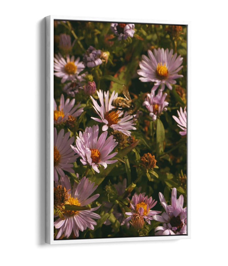 Canvas Wall Art - Grainy Bee On Flowers | Handmade Vibrant Floral Artwork, 30mm Deep Frame