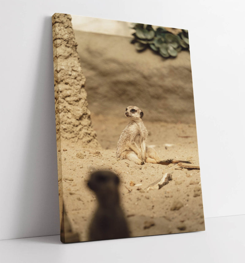 Meerkats Canvas Art - Handmade Canvas Wall Art with Premium Varnish Finish