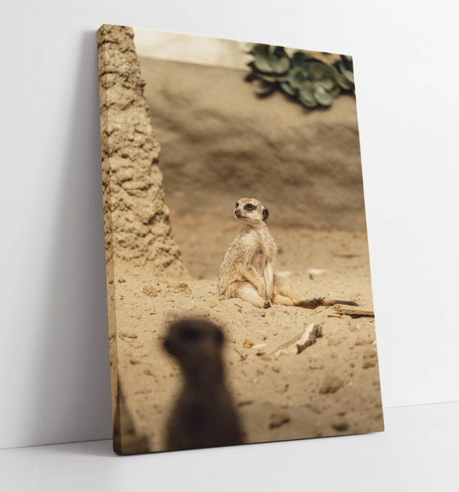 Meerkats Canvas Art - Handmade Canvas Wall Art with Premium Varnish Finish