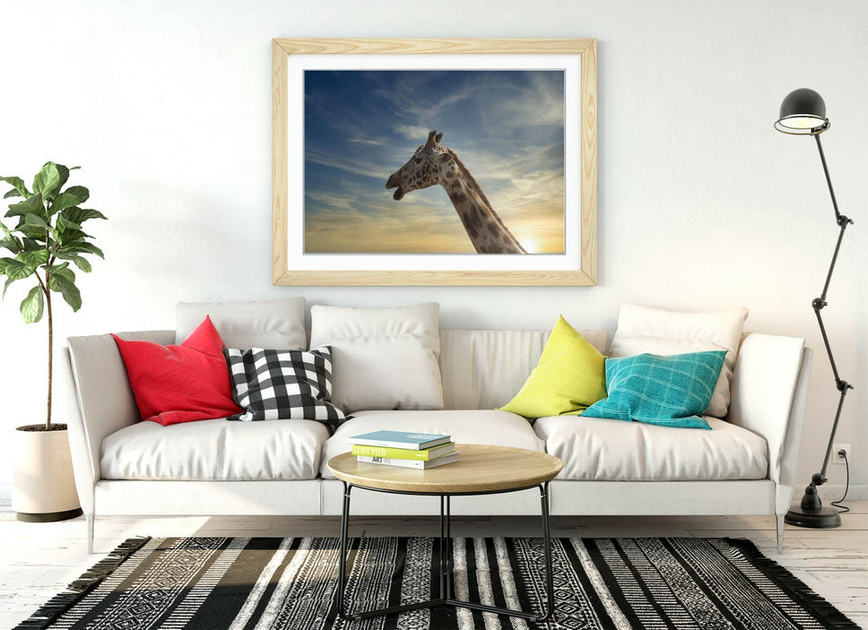 GIRAFFE IN THE CLOUDS -ART FRAMED POSTER PICTURE PRINT ARTWORK- ANIMAL PHOTO
