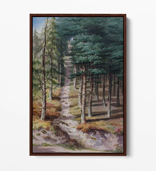 Float Effect Canvas Art - Elijah Walton Rednal Wood | Premium 30mm Deep Frame