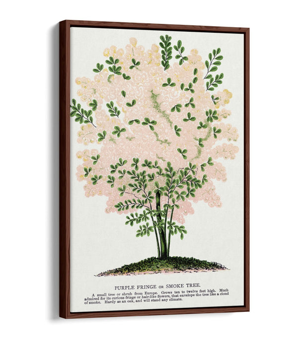 Float Effect Canvas Art – Purple Fringe Tree Lithograph Print on Custom Deep Frame