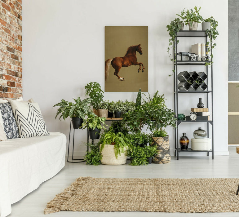 Canvas Wall Art – Horse Racing Art Whistlejacket Painting by George Stubbs