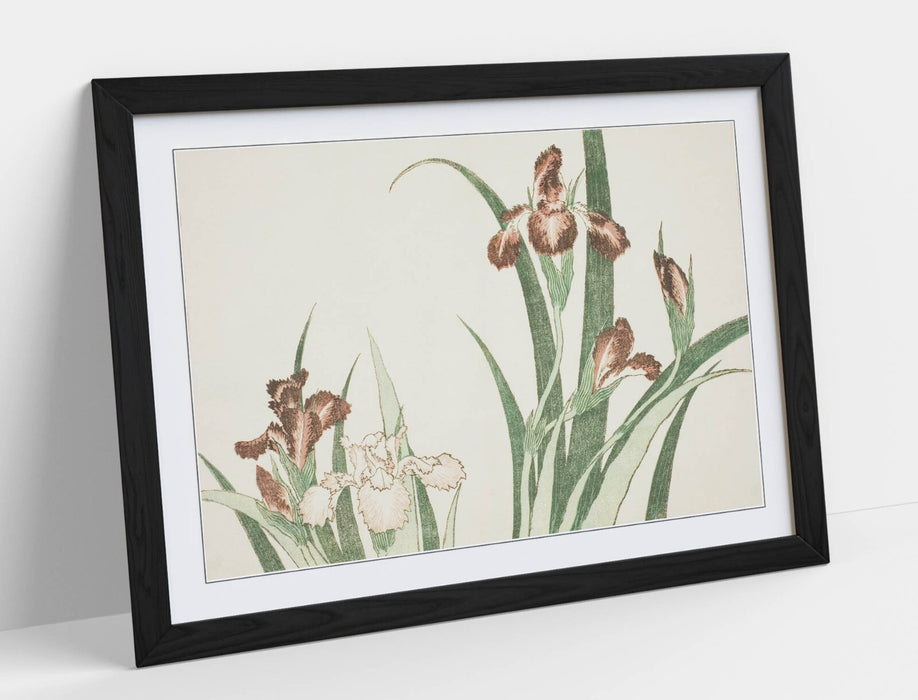 Framed Wall Art - Katsushika Hokusai Iris Poster Print | Handmade UK Frames