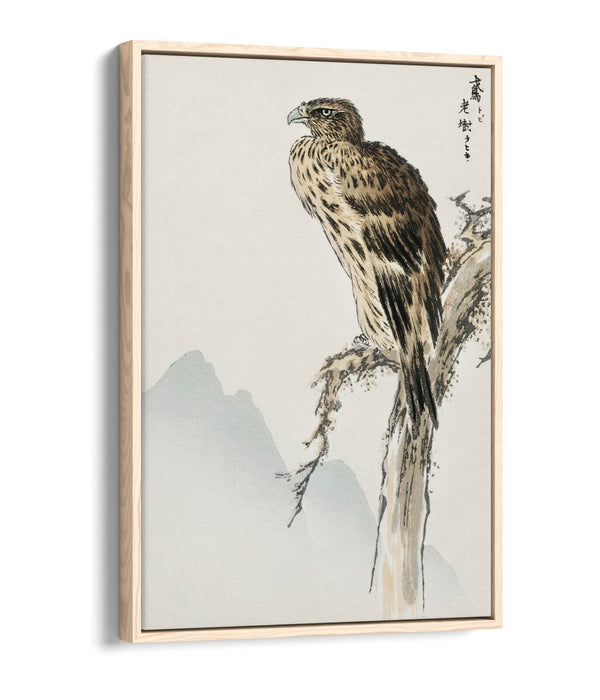 Canvas Wall Art - Numata Kashu Black Eared Kite Float Effect Print on Premium Frame