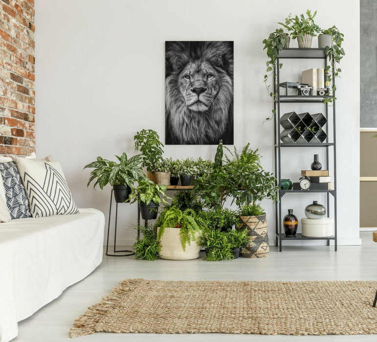 LION HEAD BLACK AND WHITE CANVAS WALL ART PRINT ARTWORK STRENGTH COURAGE
