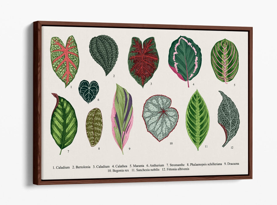 Plant Leaf Canvas Art – Botanical Wall Decor With Float Effect Frame