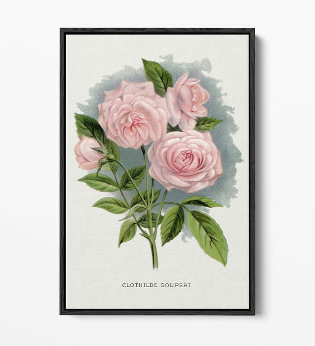 Canvas Wall Art Print – Pink Rose Artwork | Float Effect Canvas, Vibrant Colour Prints