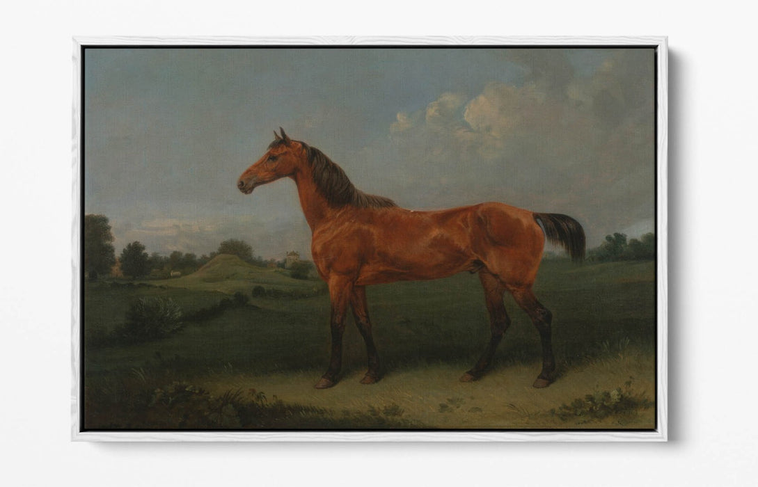 Canvas Wall Art - Edmund Bristow Bay Horse Float Effect Handmade Print