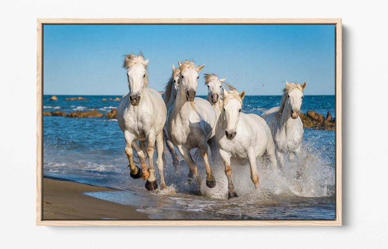 Canvas Wall Art - White Horses Running on Beach | Float Effect Print