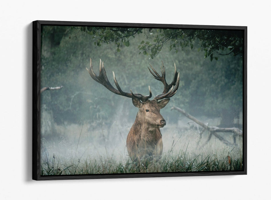 MAJESTIC STAG -FLOAT EFFECT CANVAS WALL ART PIC PRINT- ANIMAL PHOTO