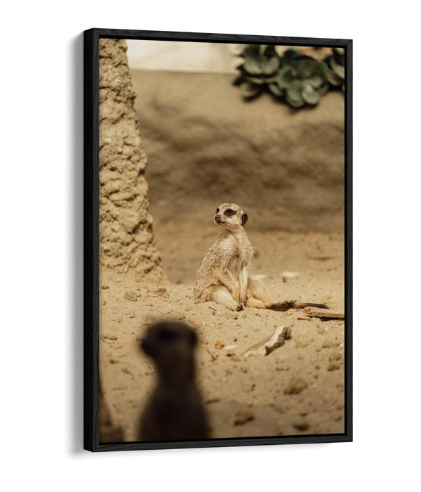 Canvas Wall Art - Cute Meerkat Print With Float Effect | Handmade UK Bedroom Decor
