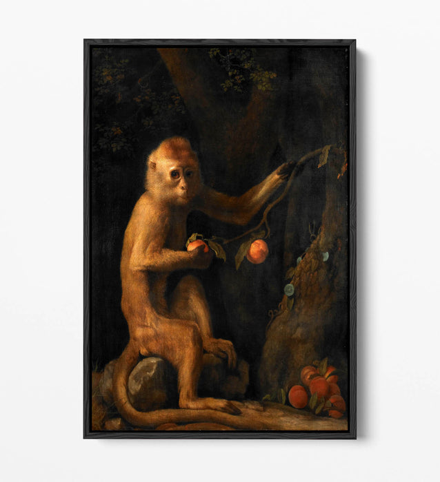 Canvas Wall Art Print – George Stubbs Monkey | Premium Float Effect Canvas