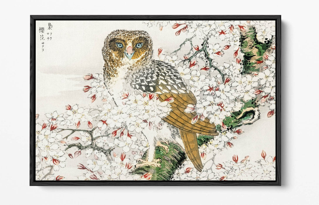 Canvas Wall Art Print – Numata Kashu Owl & Cherry Blossom Float Effect