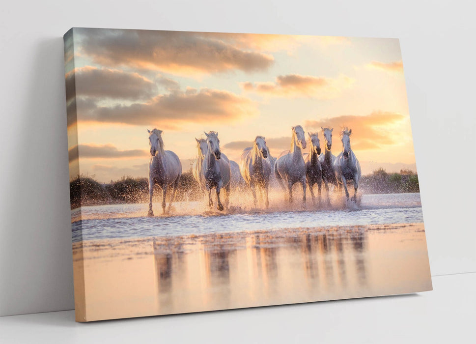 Horses Canvas Art Featuring White Horses Painting | Vibrant Wall Art Ready To Hang