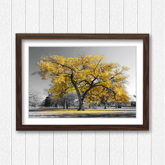Framed Wall Art Poster Large Tree Yellow Leaves Black White Print - Matte Paper