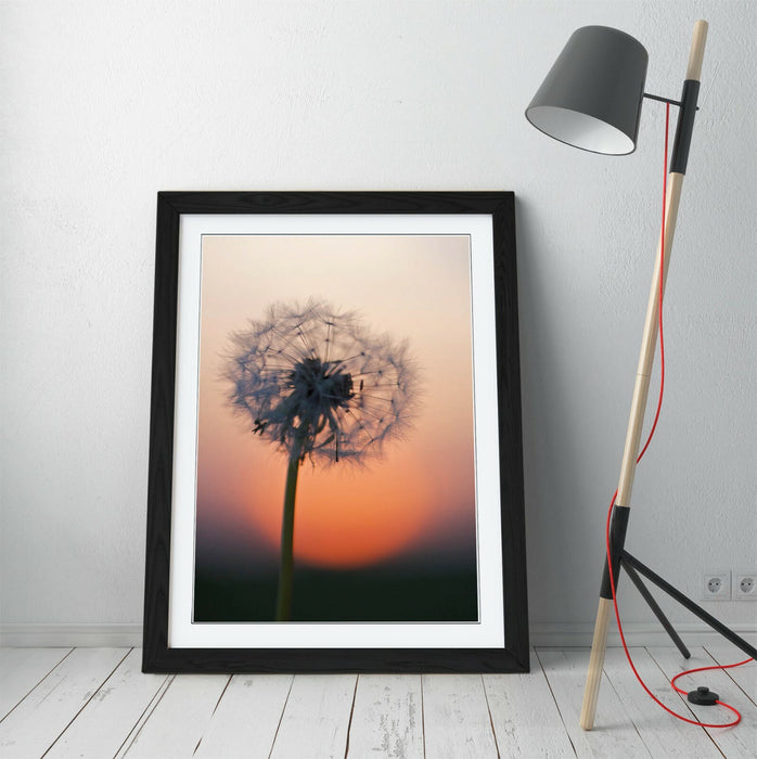 DANDELION PORTRAIT -ART FRAMED POSTER PICTURE PRINT ARTWORK- GREY BLACK