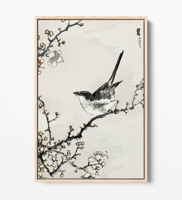 Float Effect Canvas Art - NUMATA KASHU Bush Warbler & White Plum Tree Print