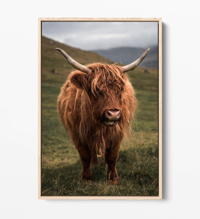 Canvas Wall Art - Highland Cow Print With Floating Canvas Frame | UK Made Home Decor