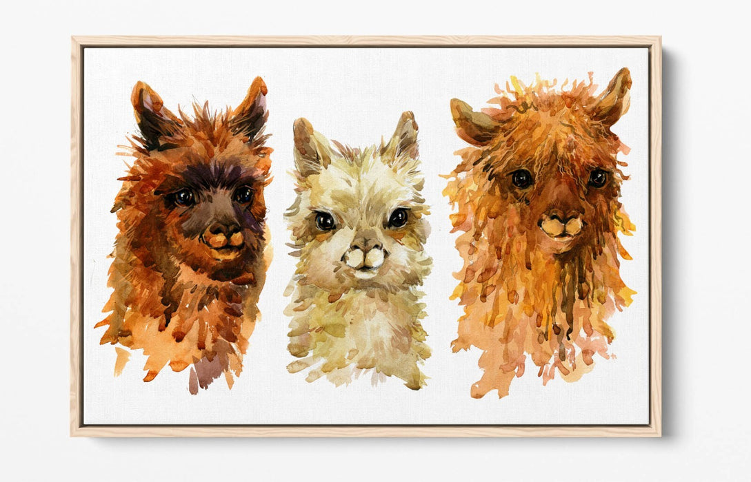 Alpaca Canvas Wall Art - Watercolour Style Float Effect Print With MDF Frame
