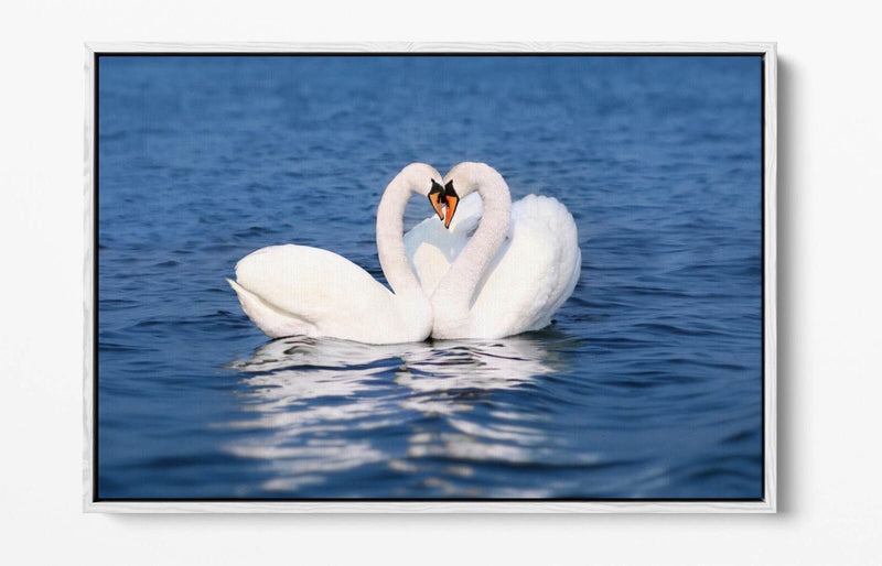 Canvas Wall Art – Swans Kissing Heart Love Print | Float Effect Bedroom Decor