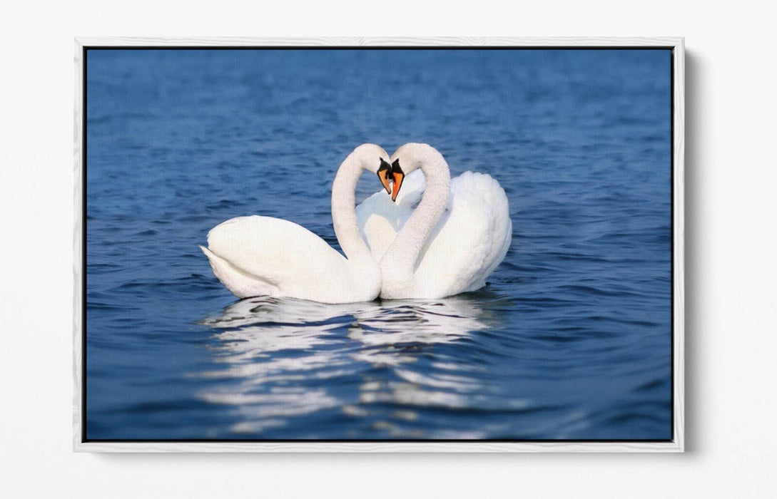 Canvas Wall Art – Swans Kissing Heart Love Print | Float Effect Bedroom Decor
