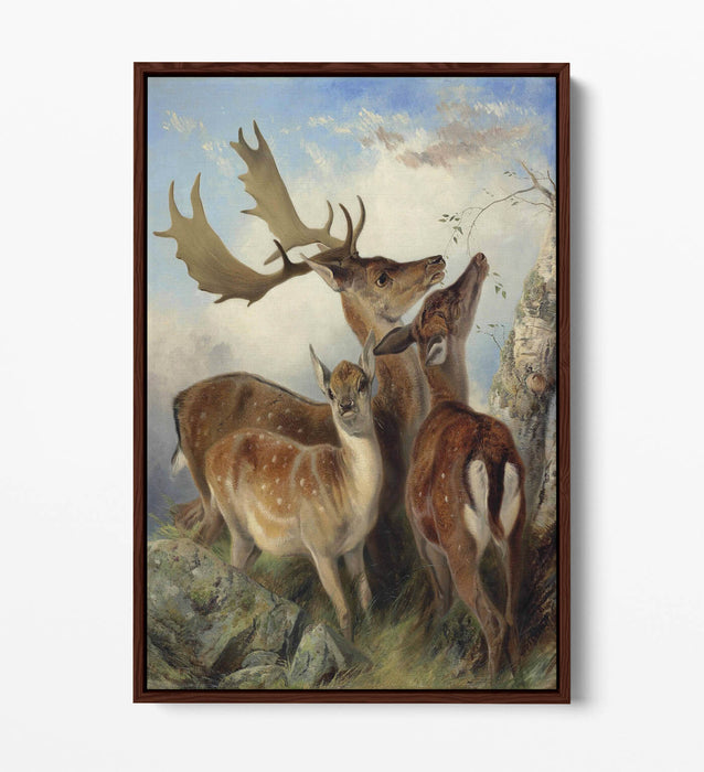 Float Effect Canvas Art - Fallow Deer Wall Art with Custom MDF Frame