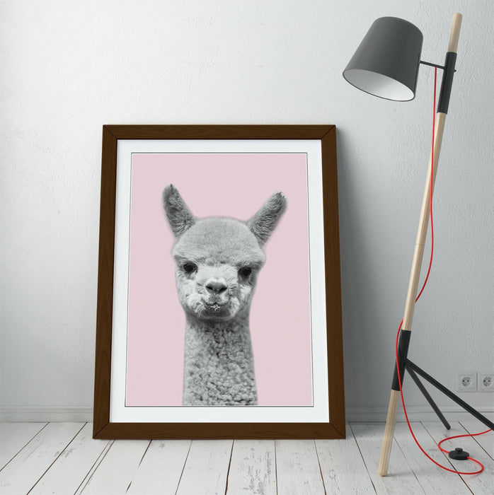 ALPACA BLACK WHITE BABY PINK -FRAMED ART POSTER PICTURE PRINT ARTWORK