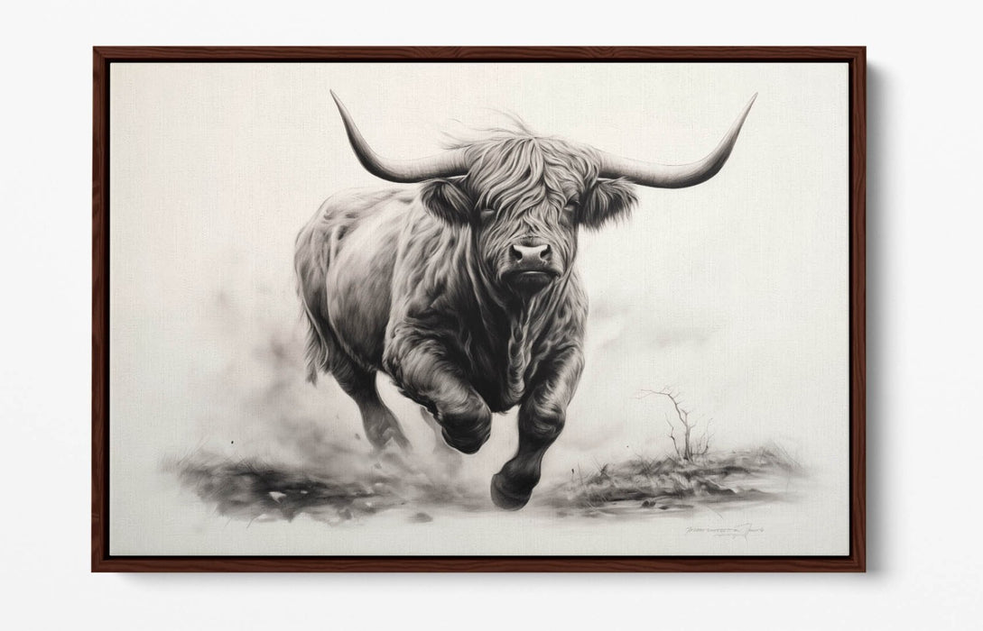 Highland Cow Canvas – Charcoal Sketch Print On Float Effect Canvas Wall Art