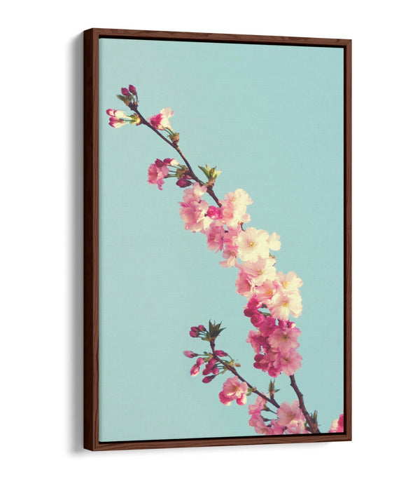 CHERRY BLOSSOM TEAL -FLOAT EFFECT CANVAS WALL ART PIC PRINT- CYAN